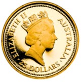 ナゲット金貨の表