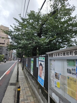雑司ケ谷霊園