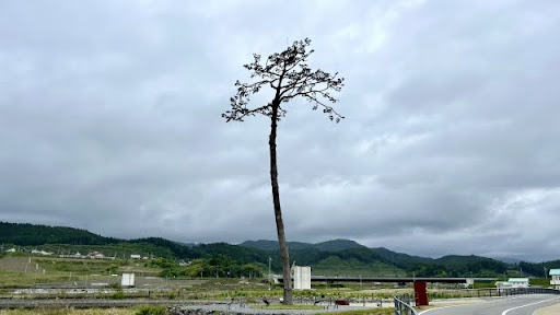 東日本大震災復興事業記念1万円金貨のデザイン