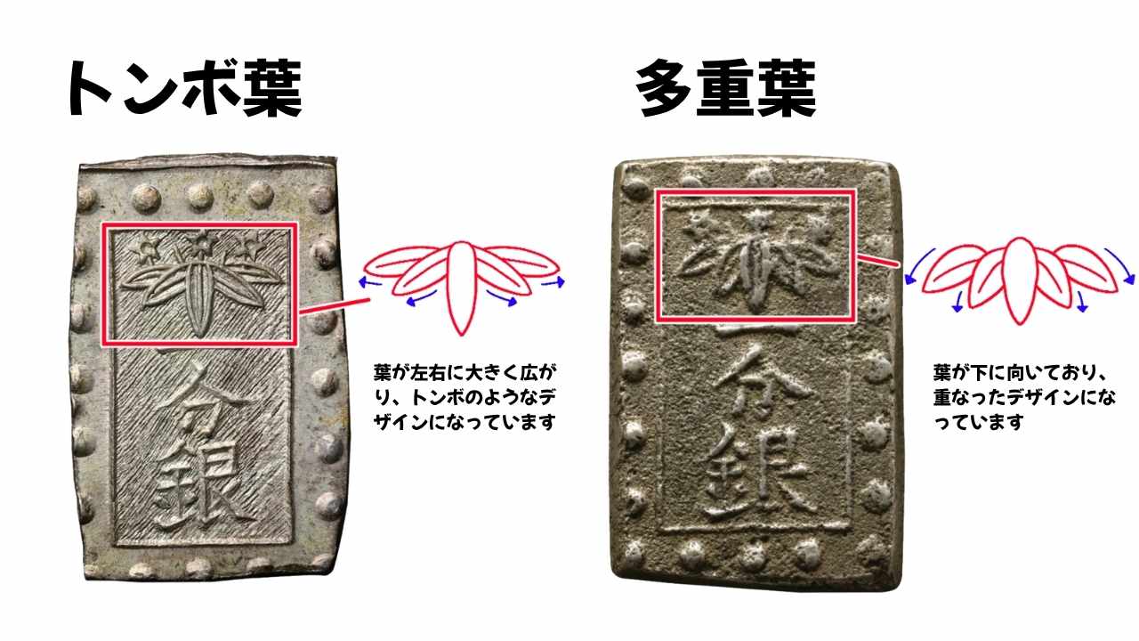 トンボ葉と多重 葉の見分け方