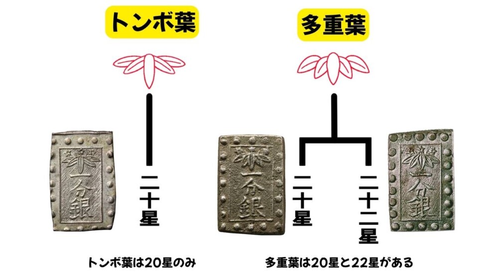 20星と22星
