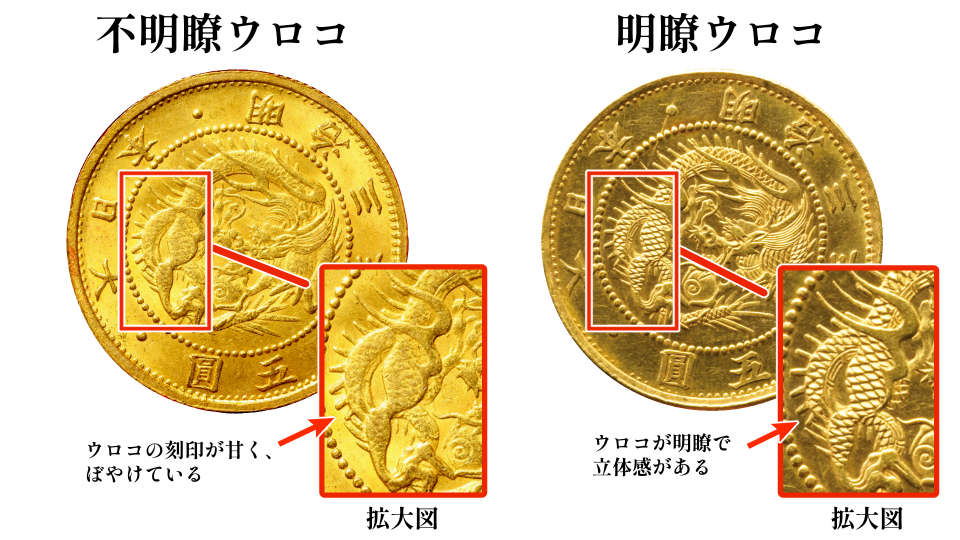 明瞭ウロコと不明瞭ウロコの違い